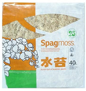 BesGrow SpagMoss