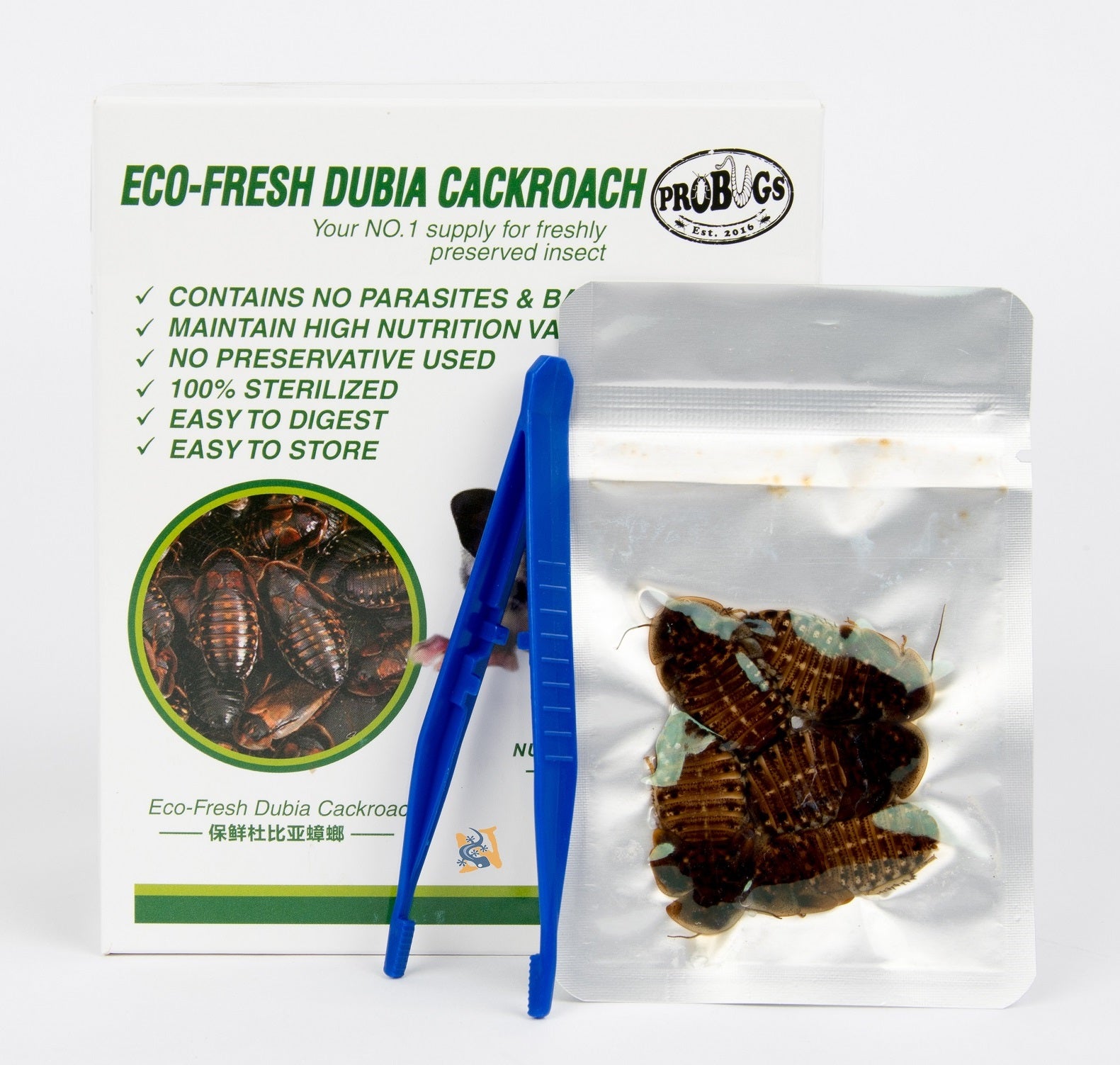 Dubia Roach Eco Fresh