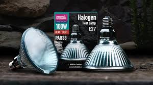 Arcadia Halogen Heat Lamp